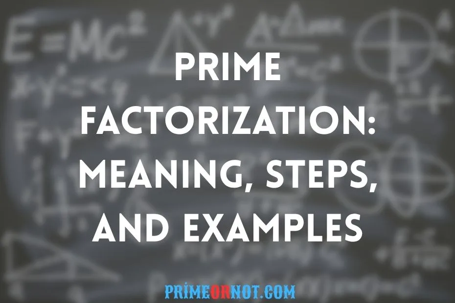 Prime Factorization Meaning, Steps, And Examples